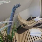 Haus Boddenresidenz 1 Dom wakacyjny *